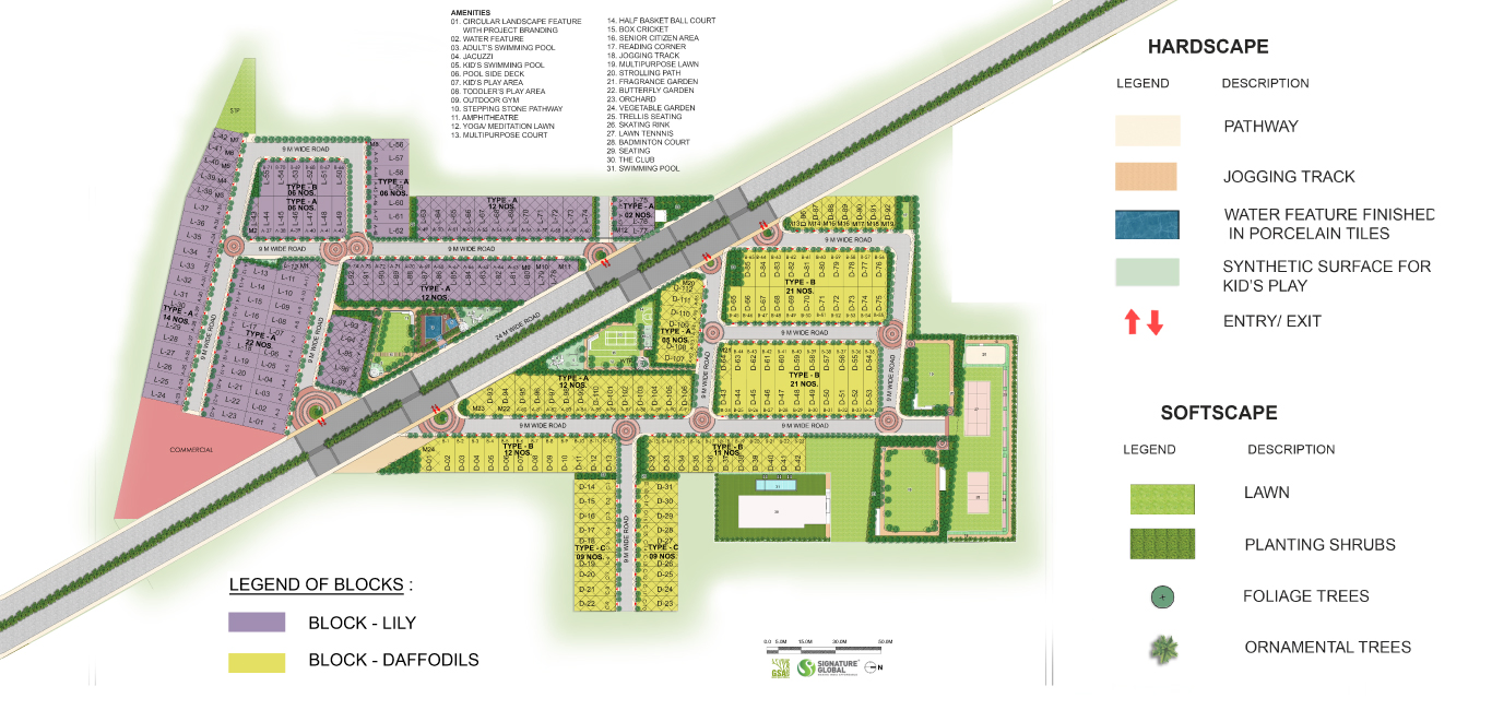 Site Plan