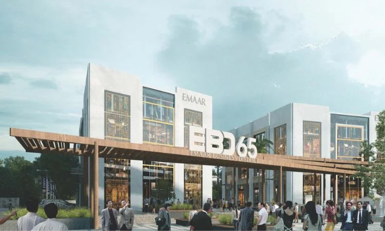 Wal Verde 92 - Image 2