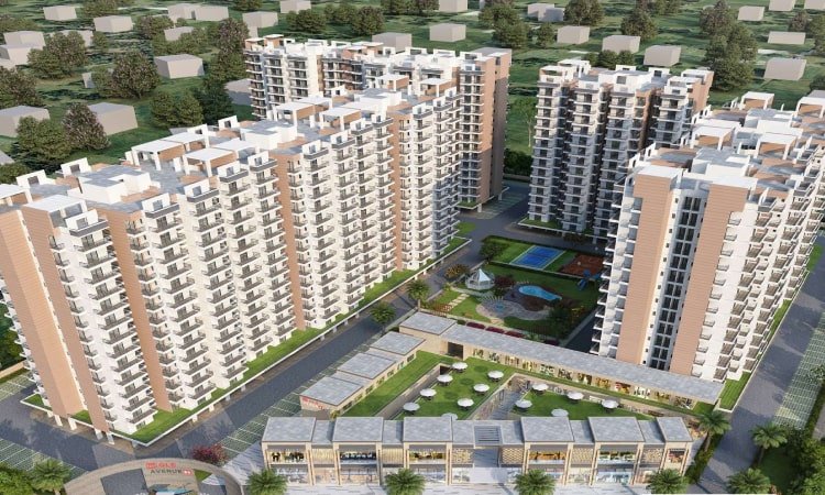 Wal Verde 92 - Image 2