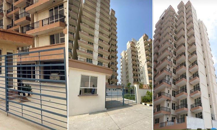 Wal Verde 92 - Image 2