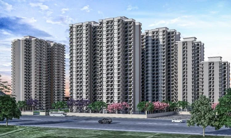 Wal Verde 92 - Image 2